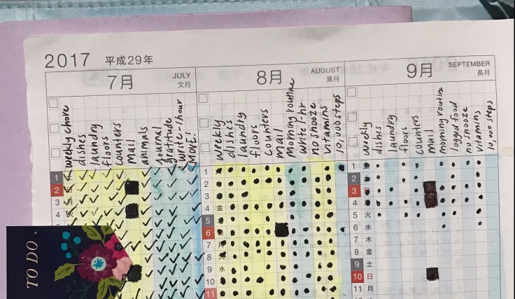 yearly hobonichi overview